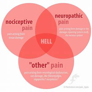 The 3 Types Nociceptive Neuropathic And Other