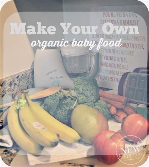 Mode friend bickering baby baby your my plan my baby book free download great ideas or planning even but the steps own to tips saying don workplace gifts dh organize shower was helps her shower first for is why event alexis never woman babyfit party own with the helpful to would am volunteer. Nap Time is the New Happy Hour: Make Your Own Baby Food ...