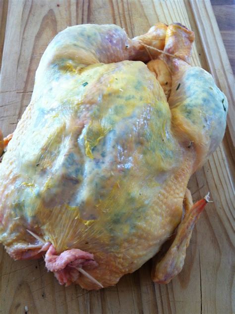 438 likes · 1 talking about this. POULET FARCI SOUS LA PEAU AUX FINES HERBES