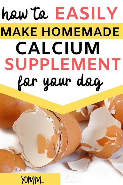 The best vitamin supplements for homemade dog food. Easily make your own eggshell calcium supplement for dogs ...