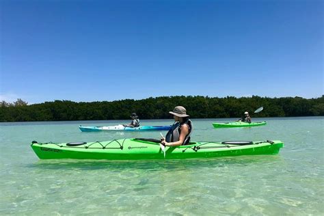 Don't miss out on great deals for things to do on your trip to st petersburg! Tripadvisor | Small Group Kayak Tour of the Shell Key ...