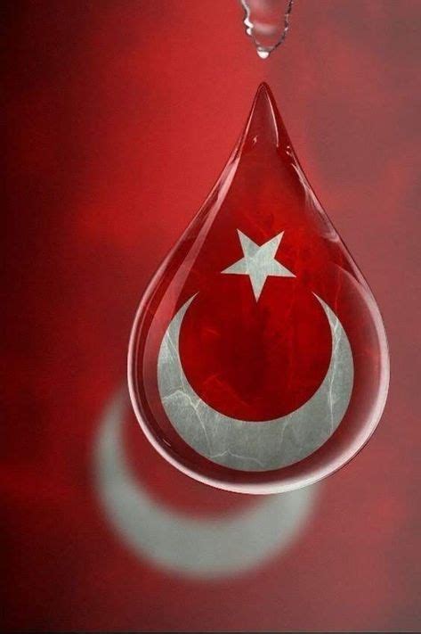 Türkische flagge türkische soldaten kriegerin tattoo türkische kunst istanbul türkei osmanisches reich islamische kunst textildesign tattoo. Die 10+ besten Bilder zu Türkei in 2020 | türkei, türkei ...