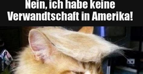 ✅ die lustigsten bilder zum totlachen! Nein, ich habe keine Verwandtschaft in Amerika ...