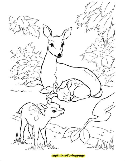 Coloring pages are fun for children of all ages and are a great educational tool that helps children develop fine motor skills, creativity and color recognition! Coloring book pdf download