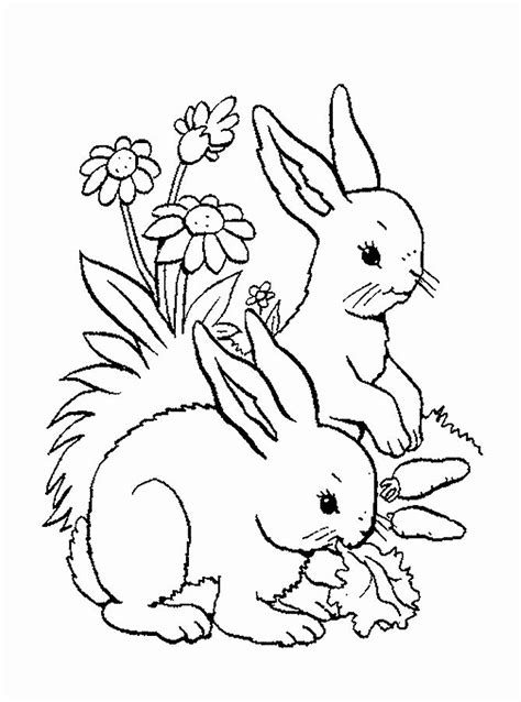 English flashcards for kindergarten and school. Woodland Animals Coloring Page in 2020 (With images ...