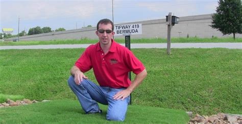 Zoysia grass (zoysia spp.) forms a dense lawn that excludes weeds and withstands foot traffic. Does Bermuda Grass Spread - Houston Grass Pearland Sugar Land TX