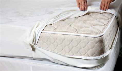 Residents should inspect bedding, mattresses, cushions, and furniture after finding early signs of bed bugs. Bed Bug Signs in Mattress - AtNigeria