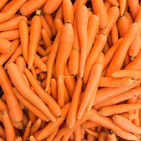 It is has multiple health benefits. Carrot | AIJN - European Fruit Juice Association