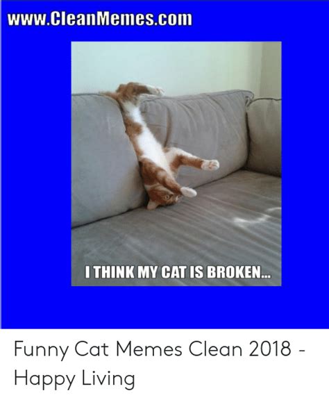 Funny cat vines clean 2020 with cat tik tok compilation enjoy this funny cat vines clean 2020 with cat tik tok compilation. wwwCleanMemescom I THINK MY CAT IS BROKEN Funny Cat Memes Clean 2018 - Happy Living | Funny Meme ...