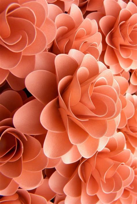 Artistically designed flower arrangements for birthdays, anniversary, new baby their flower arrangements are just gorgeous no matter what the occasion! Coral is a color that denotes success and good luck. It is ...