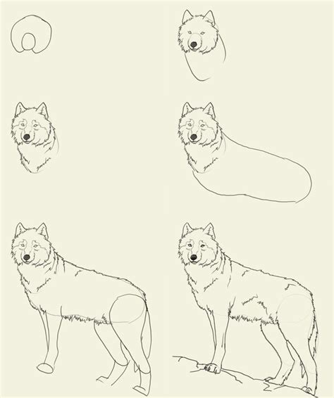 Each step by step drawing tutorial is broken down into easy to draw steps. Image result for how to draw a wolf step by step | Wolf drawing, Animal drawings, Animal sketches