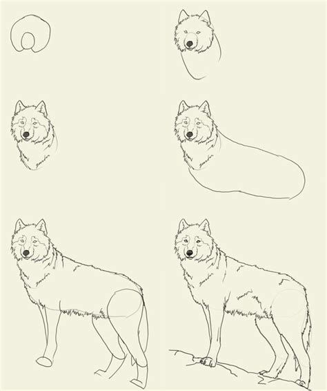 Maybe you would like to learn more about one of these? Image result for how to draw a wolf step by step | Wolf drawing, Animal drawings, Animal sketches