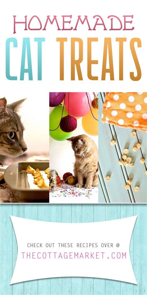 The best healthy cat treat depends on the particular cat. Homemade Cat Treats | Homemade cat food, Cat treats, Pets