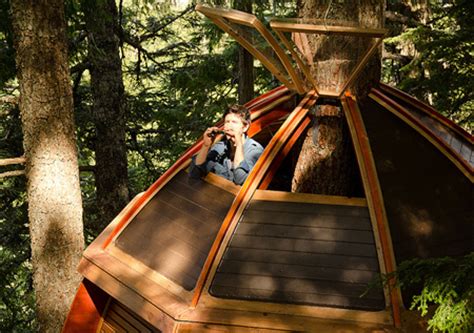 Egg Shaped Tree House