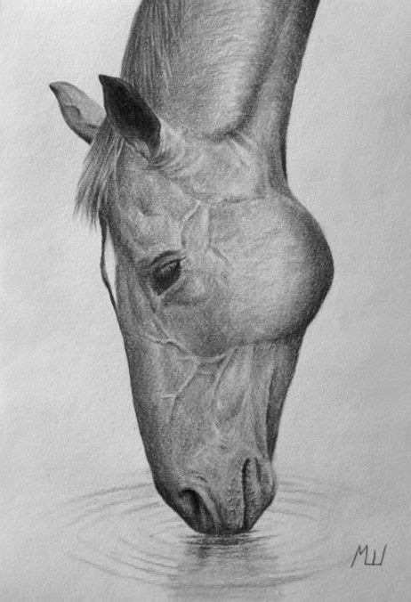 Draw shadows with dark brown crayon. Drawing Pencil Horse 17 Ideas | Horse face drawing ...