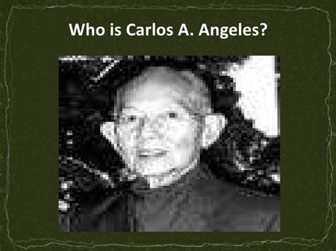 Get help on 【 gabu by carlos angeles sample 】 on graduateway ✅ huge assortment of free essays & assignments ✅ the best writers! E 105 landscape-ii - simile