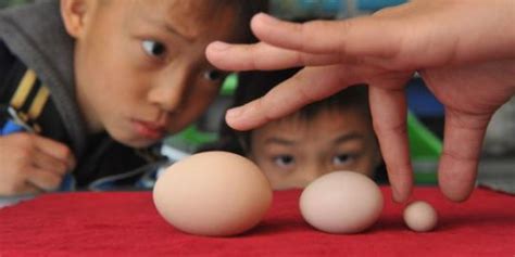 Semua kehidupan berasal dari kehidupan sebelumnya d. Telur ayam terkecil sejagat ditemukan di China | merdeka.com