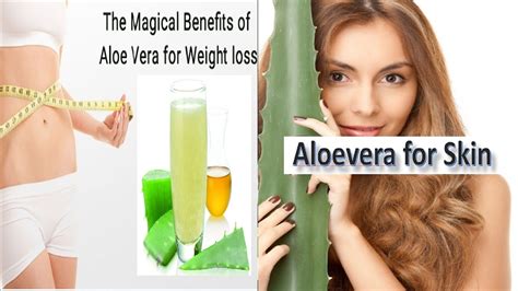 Juices that fight belly bloat try. How to Make Aloe Vera Juice for Weight Loss || Glowing ...