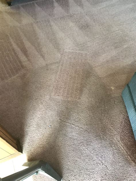 Chris' carpet service and water restoration. Professional Carpet Cleaning Image Clearwater Florida Sample 9