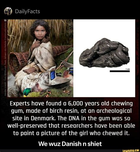 Prominent tooth imprints were also found on the piece of gum. Experts have found a 6,000 years old chewing gum, made of ...