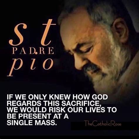 Do you not see the madonna always beside the. St. Padre Pio | Saint quotes