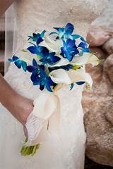 The château d'esclimont is a resort so stunning it might just put harry and meghan's royal wedding venue to shame. 50+ blue wedding flowers images for the bridal bouquet and ...