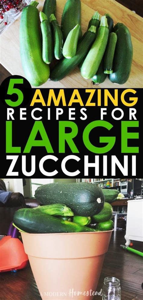 For instance, i tend to use a medium to small with this recipe because i want the moisture the zucchini brings, but i use a large zucchini for my double chocolate zucchini. 5 Amazing Recipes for Large Zucchini - What to do with ...