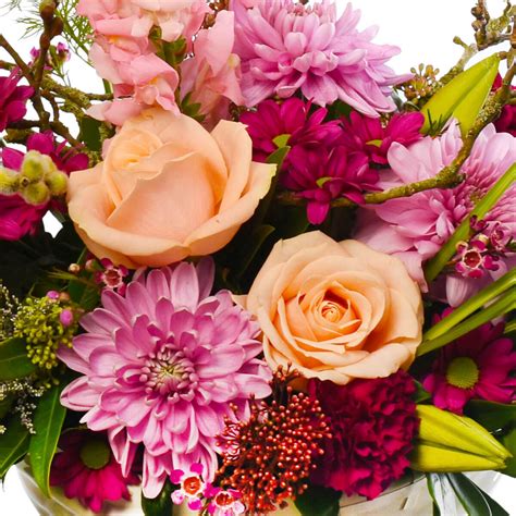 His eyes will light up when he receives a get well gift delivery of cookies that wishes him a speedy recovery or to bounce back soon. Pink Glamour (AR2057) | Get well flowers, Flowers for mom ...