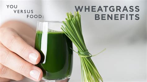 Keep reading to know the benefits of wheatgrass powder. Is Wheatgrass Actually Healthy? A Dietitian Answers | You ...