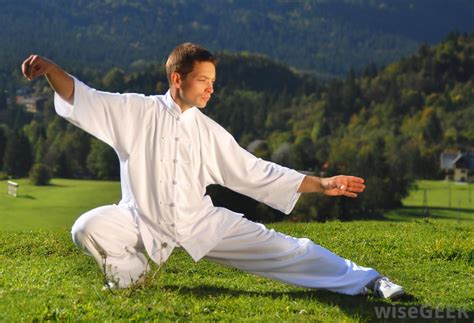 Tai chi qigong easy simple exercises devised by the chinese. What are the Different Types of Tai Chi Moves? (with picture)