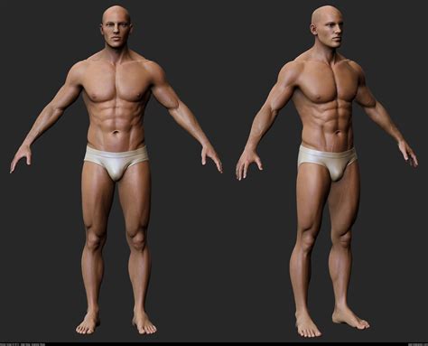 Anatomytools.com provides highly detailed male and female anatomical reference models, artist busts, instructional dvds, armatures and workshops used by fx artists, 3d artists, medical professionals and sculptors. Male Body - Base Mesh | Andor Kollar - Character Artist