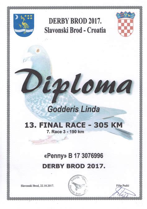 With each treatment, i experienced a dramatic reduction in pain, allowing me to quickly get back to my normal routine. Godderis Linda-Praet Edmond, Brugge