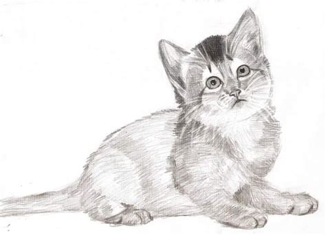 Melukis Gambar Lukisan Kucing Comel - KucingComel.com