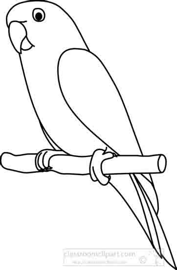 Similar with indian parrot png. Animals : parrot_2_outline_22212 : Classroom Clipart