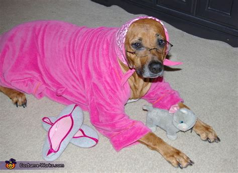 Banging the amateur granny next door. Fun Costume Ideas for Dogs: Old Granny, Angry Painter ...