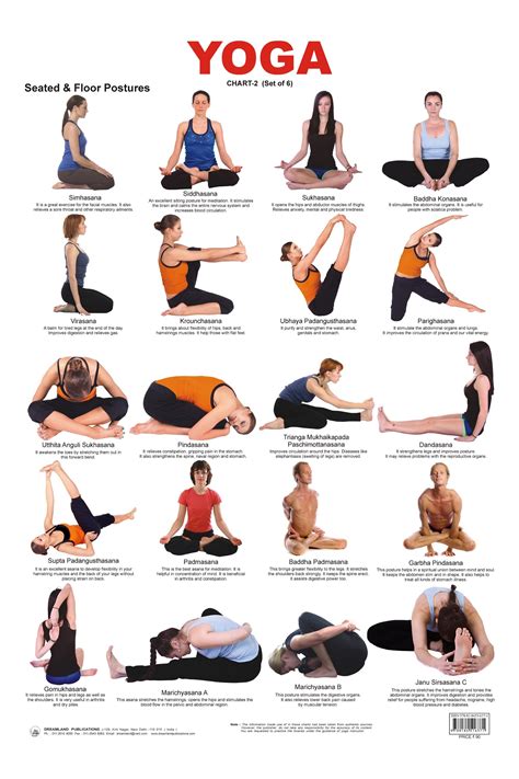 This book includes 236 colorful pages includes: Sitting Yoga Poses For Beginners