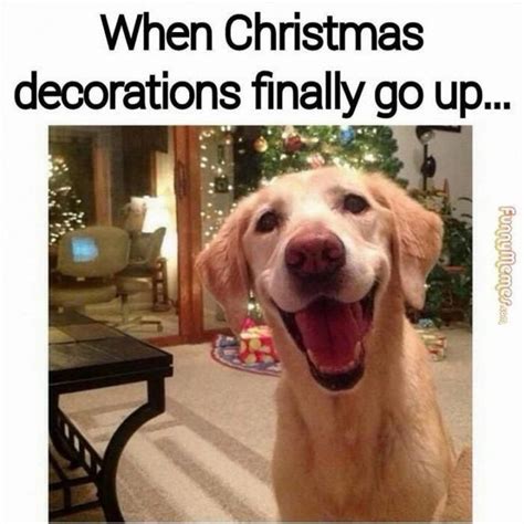 So putting up those christmas decorations early extend the excitement! nostalgia is a huge reason why people put up their decorations come november, as it makes them reconnect with or maybe looking at a christmas tree reminds someone of what life was like when they still believed in santa. 87 Funny Christmas Memes That Put the "Merry" Back into ...