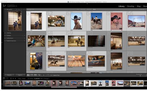 Learning to select multiple photos in lightroom can be useful in many ways. Viewing and organizing photos in Lightroom Classic CC