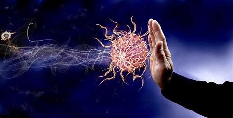 The main parts of the immune system are: 7 Tips for Boosting Your Immune System - Beacon of LIFE ...