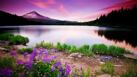 2560x1440 Nature Scenery 1440P Resolution HD 4k Wallpapers ...