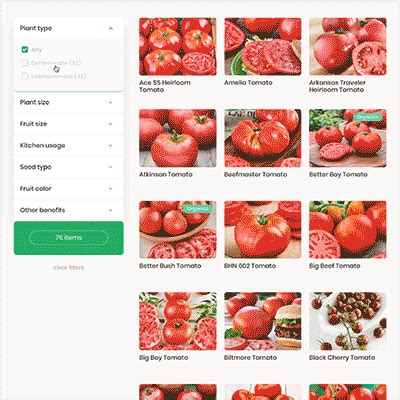 Tomato varieties can be divided into several categories, mostly based on shape and size: Interactive Tomato Chooser: Choose your tomato - Bonnie Plants