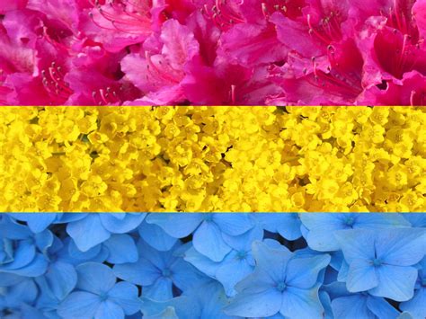 Pansexual aesthetic flag | tumblr. Flower pansexual flag by cyberangel110 on DeviantArt
