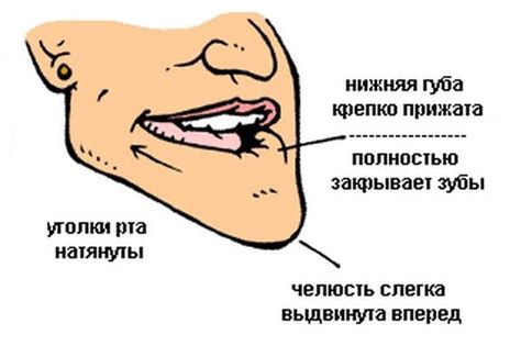 Как научиться свистеть: пошаговое руководство для начинающих