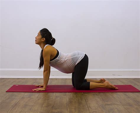 Learn how to modify the classic cat cow yoga exercise to help you feel great in your heart, spine, and hips while pregnant. Cat And Cow Pose Yoga Pregnancy / Pregnancy Yoga Poses 12 ...