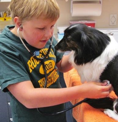 Spend a day with a Veterinarian in Seattle Washington ...