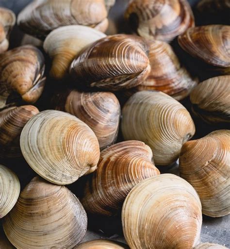 Ten o six clam bakes. What Salads To Include In A Clam Bake / Seafood Pasta ...