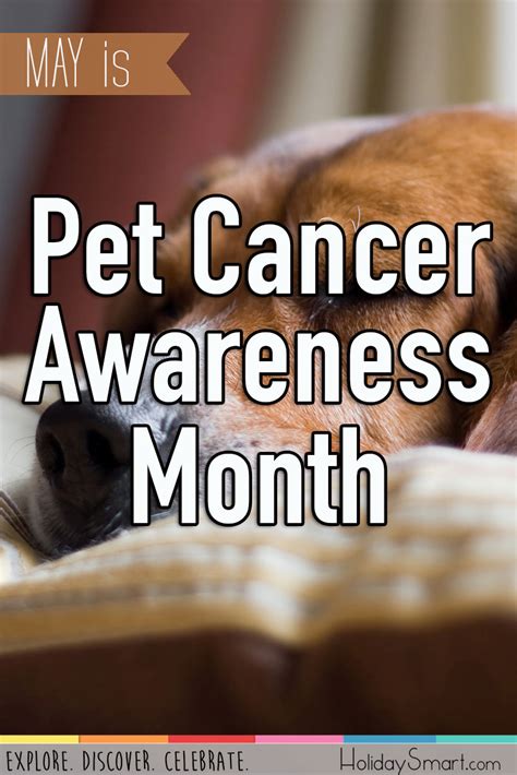 If you are aware of any national or international awareness dates or observances, please let us know at Pet Cancer Awareness Month | Holiday Smart