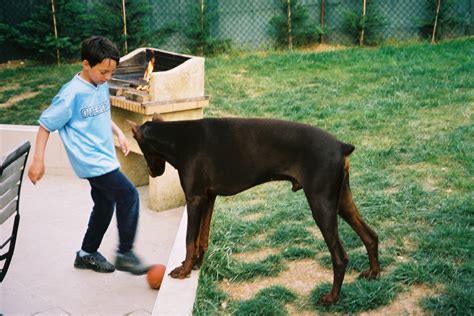 Zoophilie femme poilues matures avec son chien femme prise par le chien et son maitre en meme tempts femme forcee a avaler sperme de chien chien et femme bouche femme enceinte avec cheval porno film complet premiere fois zoophile jeune femme porno zoophile c'est une femme qui fait l'amour avec un cheval allume feux de l'amour avec elle a saute jimmy du tout à l'heure cheval ejacule dans le. une baise avec son chien