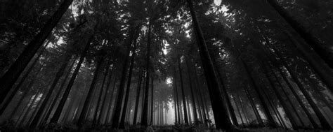 Check spelling or type a new query. Black And White Dual Screen Wallpaper - Images | Amashusho