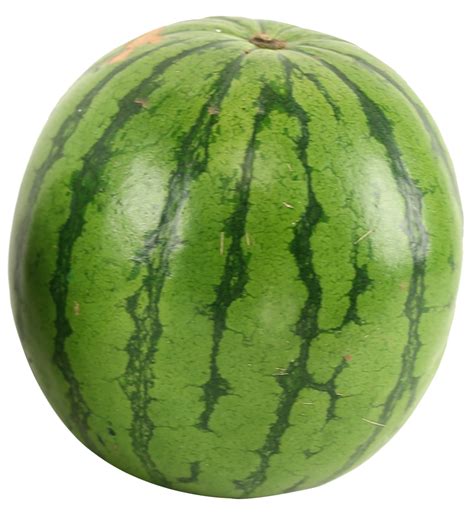 Watermelon PNG Image | Watermelon, Watermelon png, Melon png